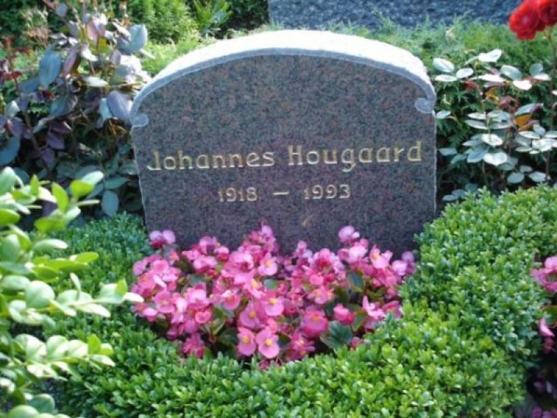 Johannes Hougaard.jpg